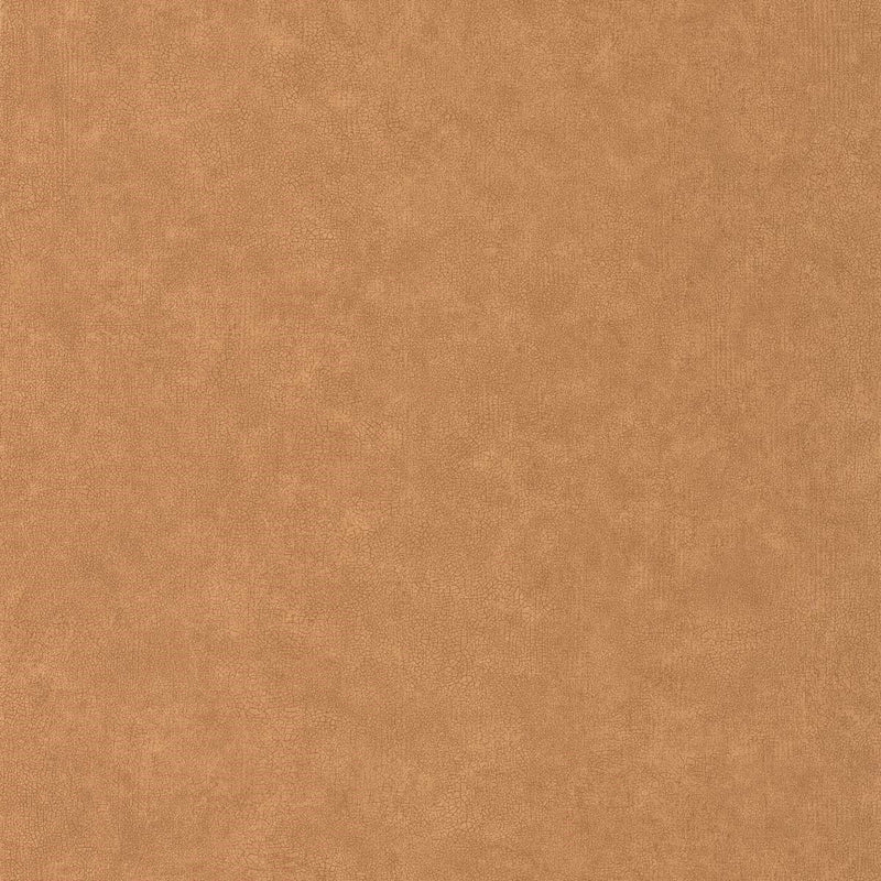 CER105243148 Uni Mat Ceramique Wallpaper by Caselio