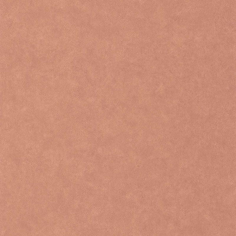 CER105244130 Uni Mat Ceramique Wallpaper by Caselio