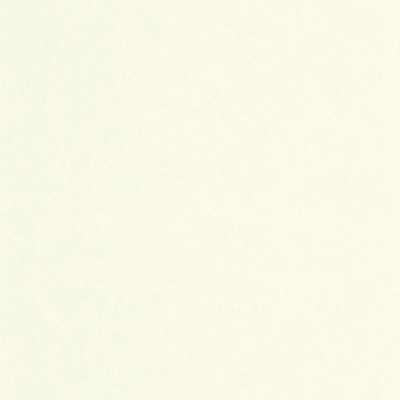 CER105247110 Uni Mat Ceramique Wallpaper by Caselio