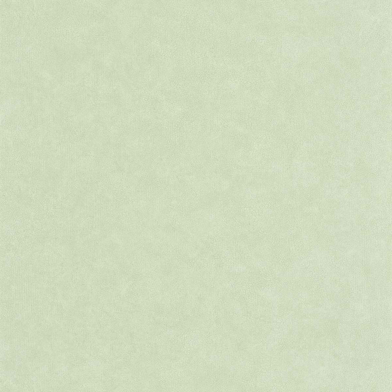 CER105247360 Uni Mat Ceramique Wallpaper by Caselio