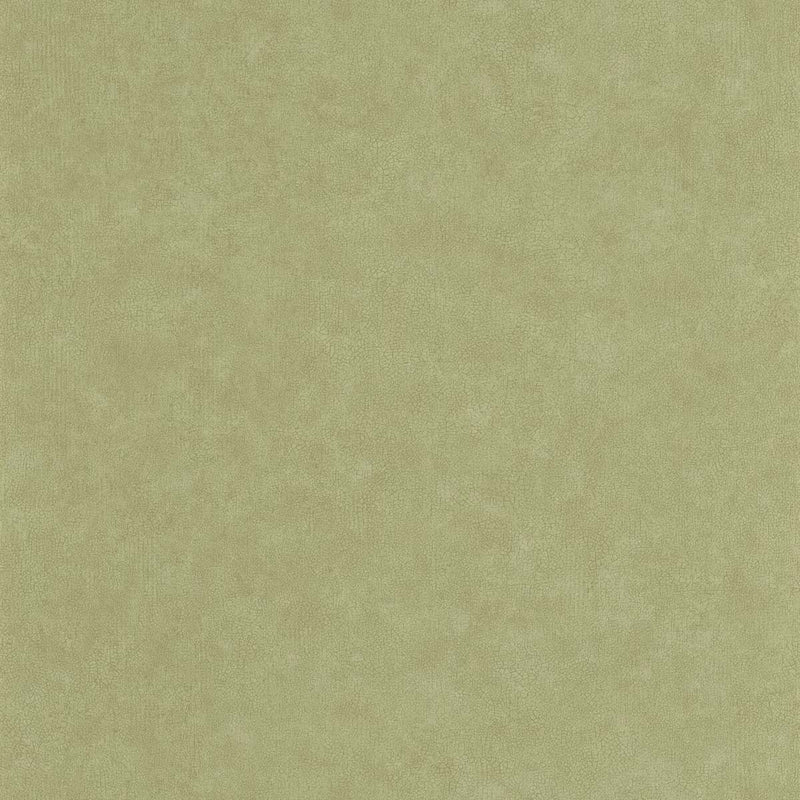 CER105247850 Uni Mat Ceramique Wallpaper by Caselio