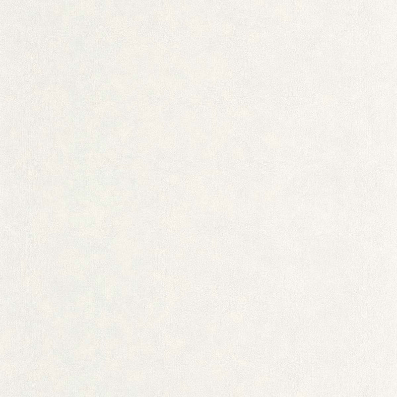 CER105249000 Uni Mat Ceramique Wallpaper by Caselio