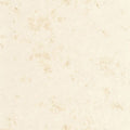 Uni Metallise/ Irise Ecru dore Wallpaper by Caselio