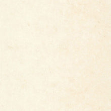 CER105251000 Uni Metallise/ Irise Ceramique Wallpaper by Caselio