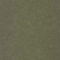 Uni Metallise/ Irise Kaki dore Wallpaper by Caselio