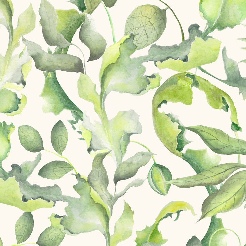 Claudia Cream Wallpaper by Voyage Maison | CLAUDIA/WPO/CRE