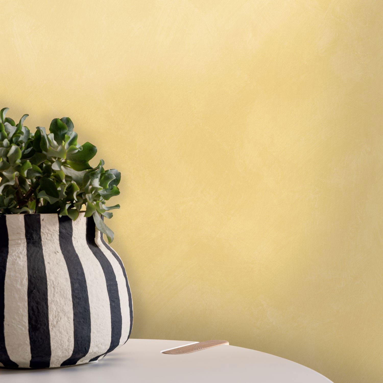 CLK106082250 Uni Mat Chalk Wallpaper by Caselio