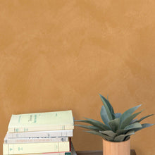 CLK106082365 Uni Mat Chalk Wallpaper by Caselio