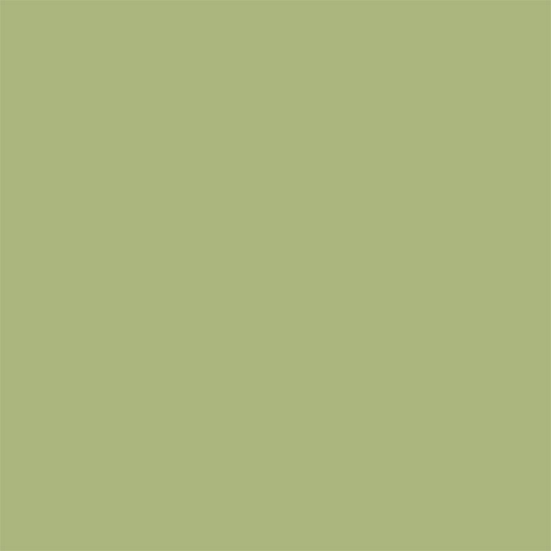 Artichoke Sanderson Paint