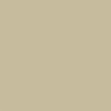 Broncho Sanderson Paint