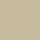 Broncho Sanderson Paint