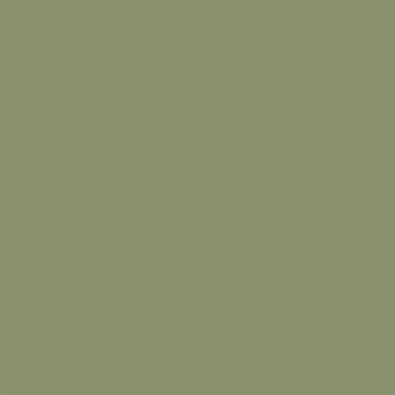 Canopy Green Sanderson Paint