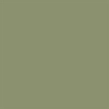 Canopy Green Sanderson Paint