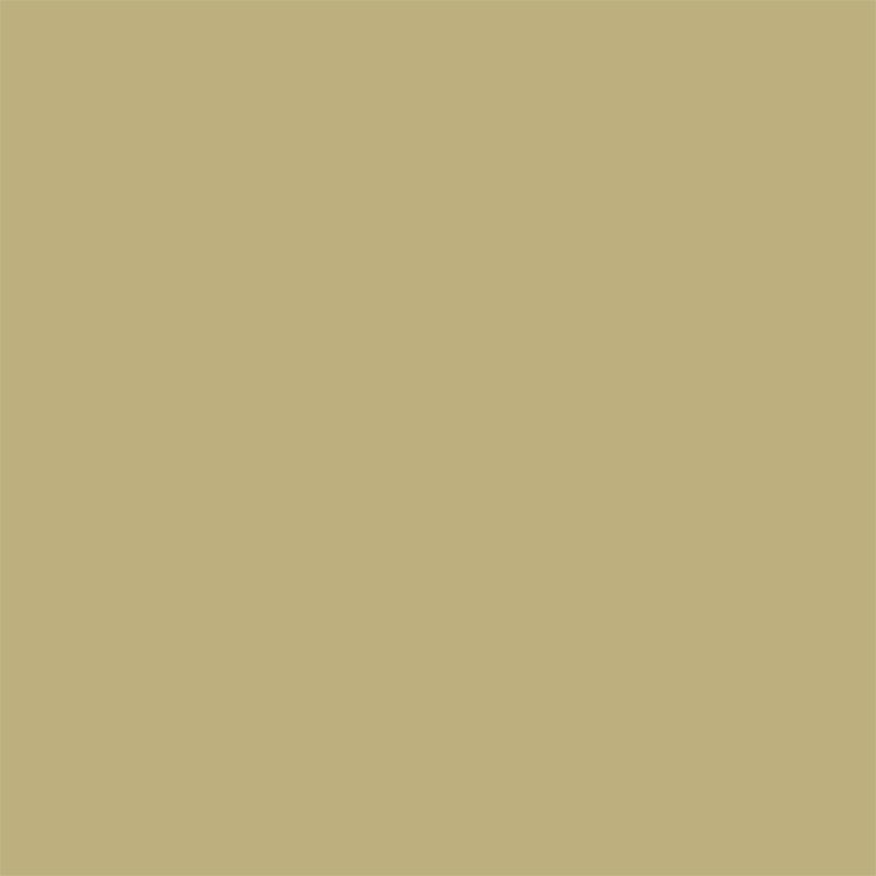 Caraway Green Sanderson Paint