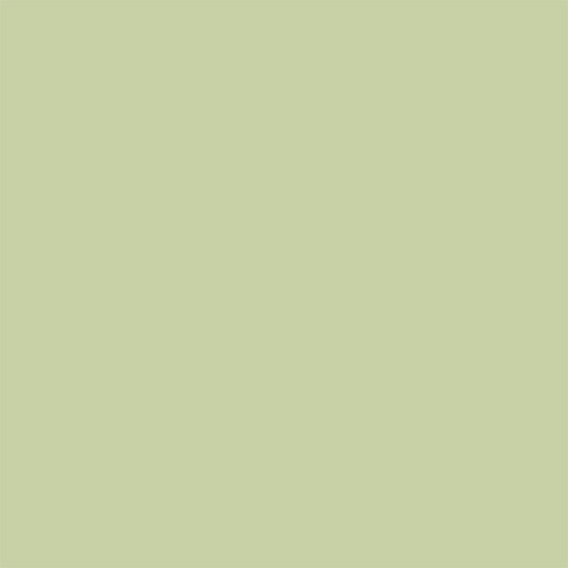 English Pear Sanderson Paint