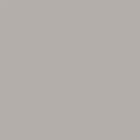Grey Squirrel Sanderson Paint
