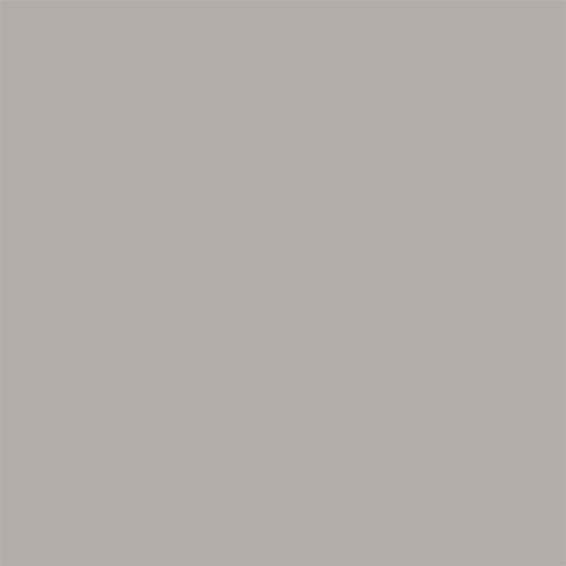 Grey Squirrel Sanderson Paint