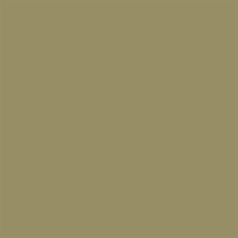 Oxney Olive Sanderson Paint