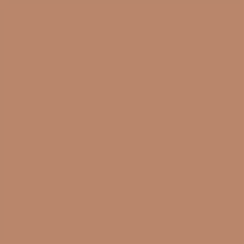 Squirrel Sanderson Paint