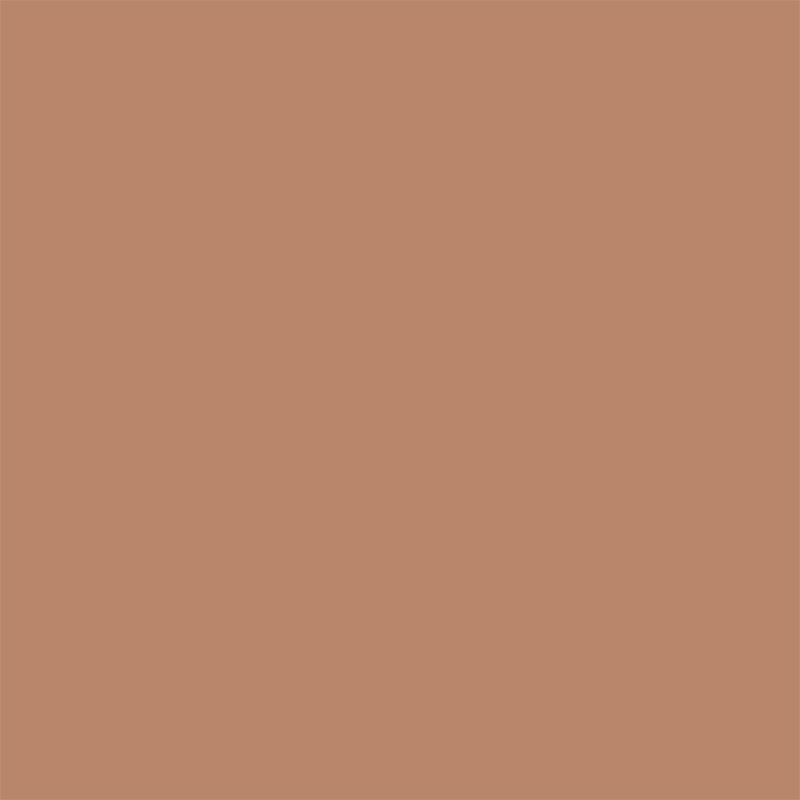 Squirrel Sanderson Paint