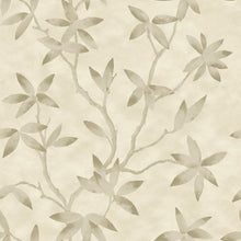 CP00703 Acer Capri Wallpaper By Sketch Twenty 3
