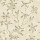 CP00703 Acer Capri Wallpaper By Sketch Twenty 3