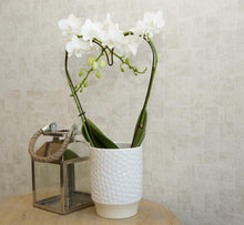 CP00715 Mosaic Capri Wallpaper By Sketch Twenty 3