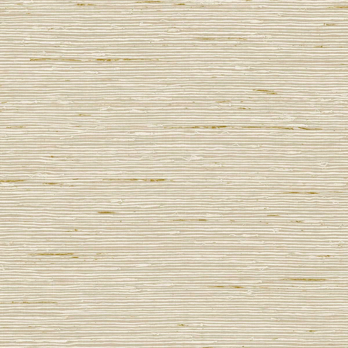 CP90205 A Lot More Textures Wallpaper by Today Interiors