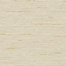 CP90205 A Lot More Textures Wallpaper by Today Interiors