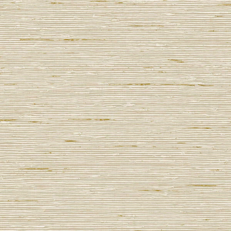 CP90205 A Lot More Textures Wallpaper by Today Interiors