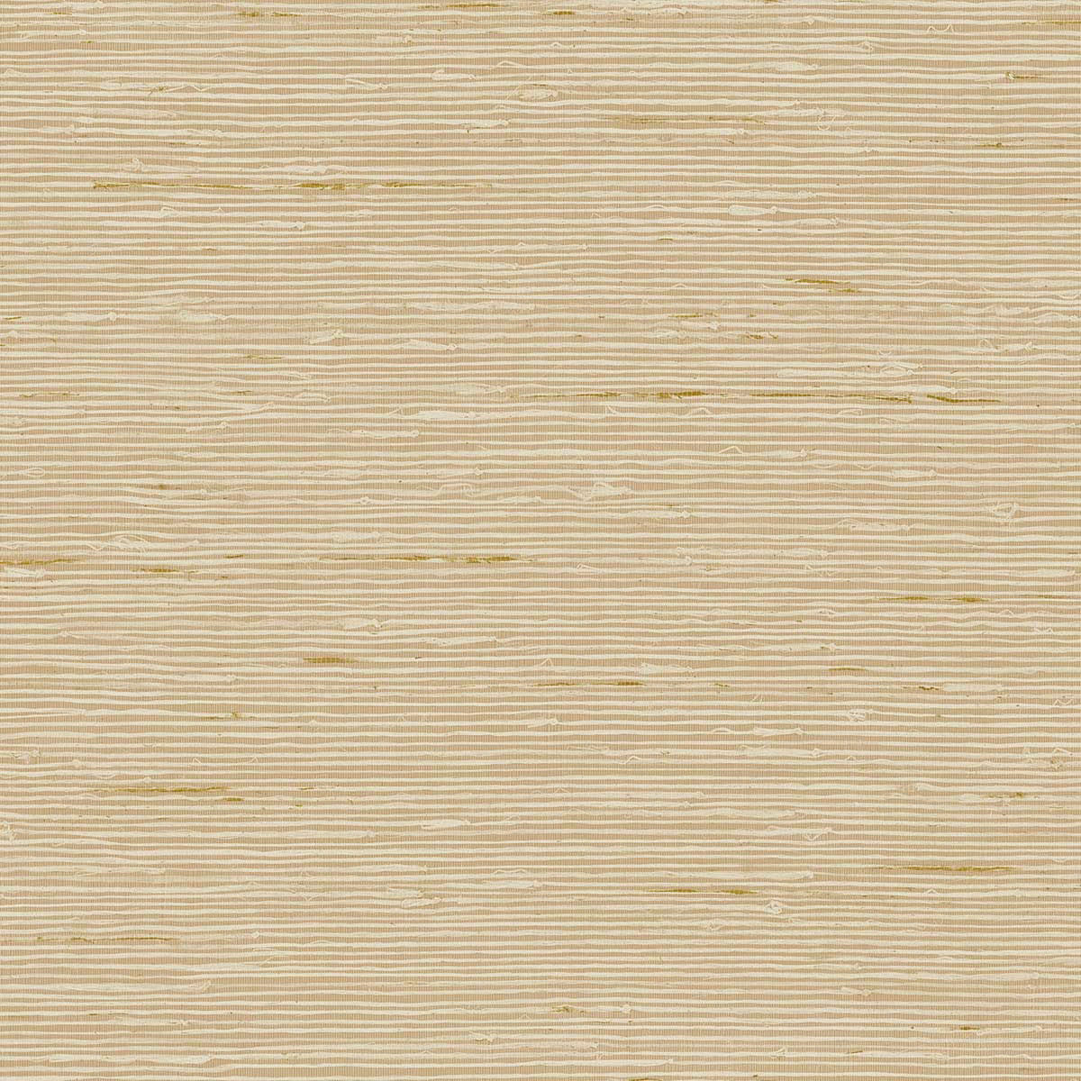 CP90207 A Lot More Textures Wallpaper by Today Interiors