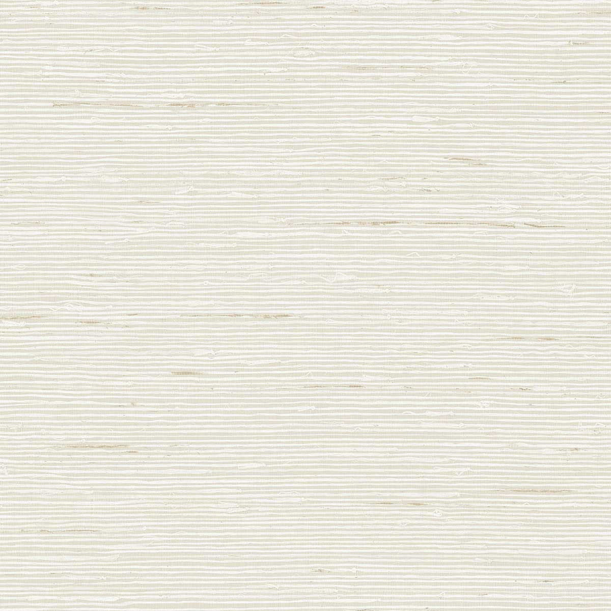 CP90215 A Lot More Textures Wallpaper by Today Interiors