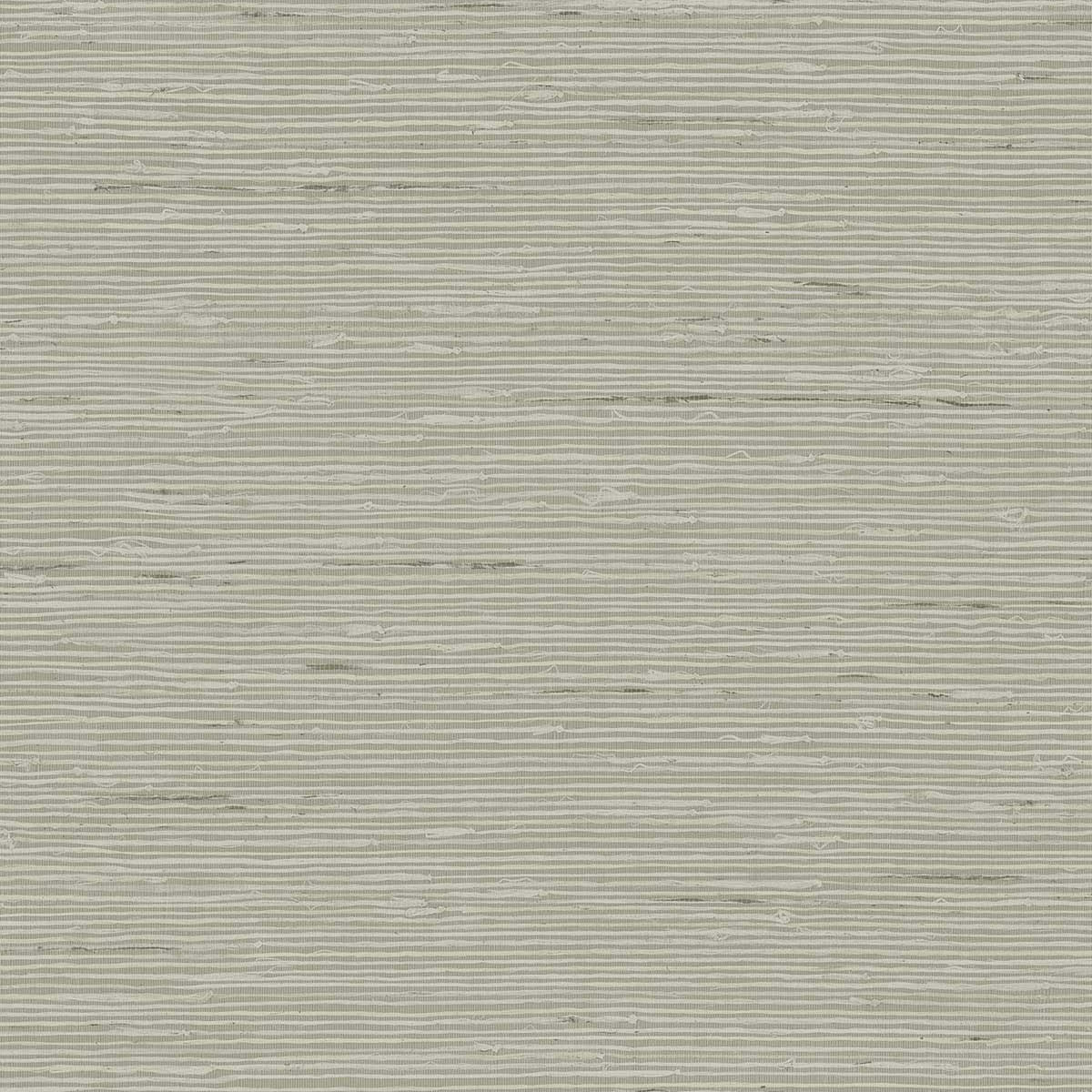 CP90217 A Lot More Textures Wallpaper by Today Interiors