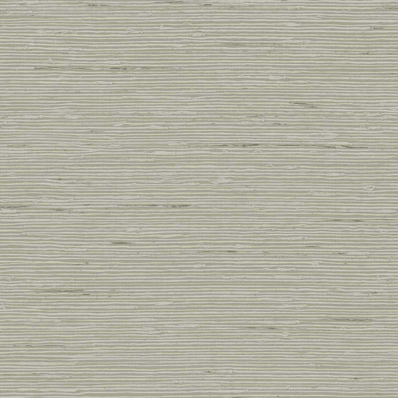 CP90217 A Lot More Textures Wallpaper by Today Interiors
