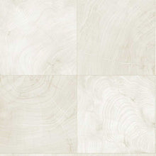 CP91900 A Lot More Textures Wallpaper by Today Interiors