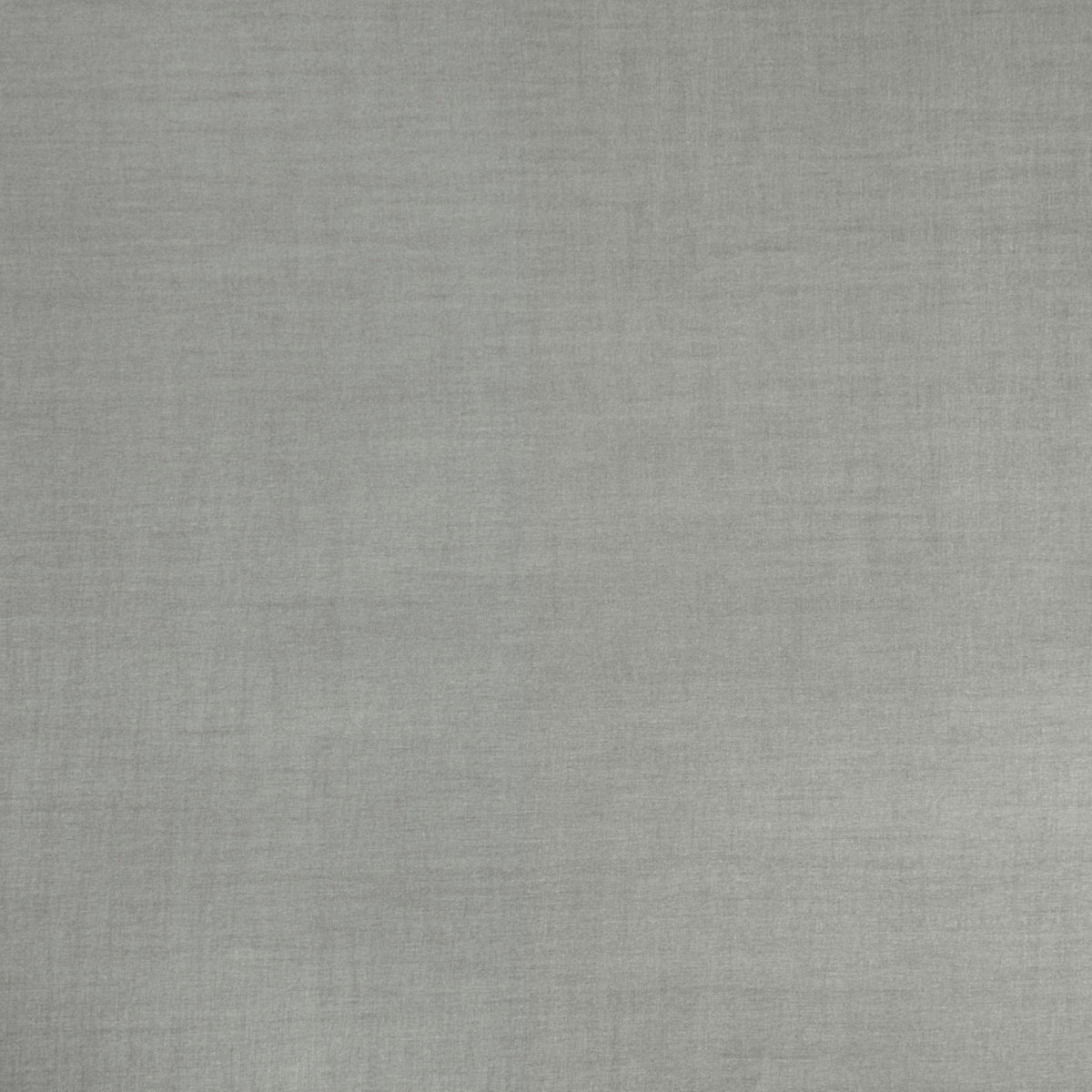 Seta Silver Spring 2023 Wallpaper by Coraggio — flat