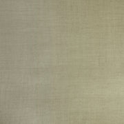Seta Taupe Spring 2023 Wallpaper by Coraggio