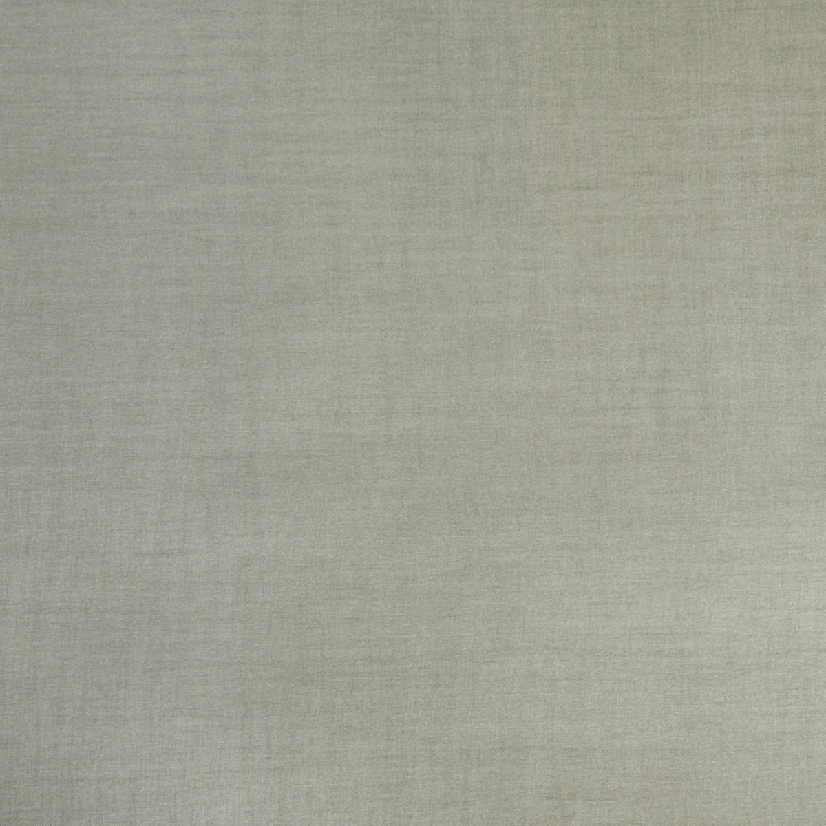 Seta Sandy Grey Spring 2023 Wallpaper by Coraggio — flat