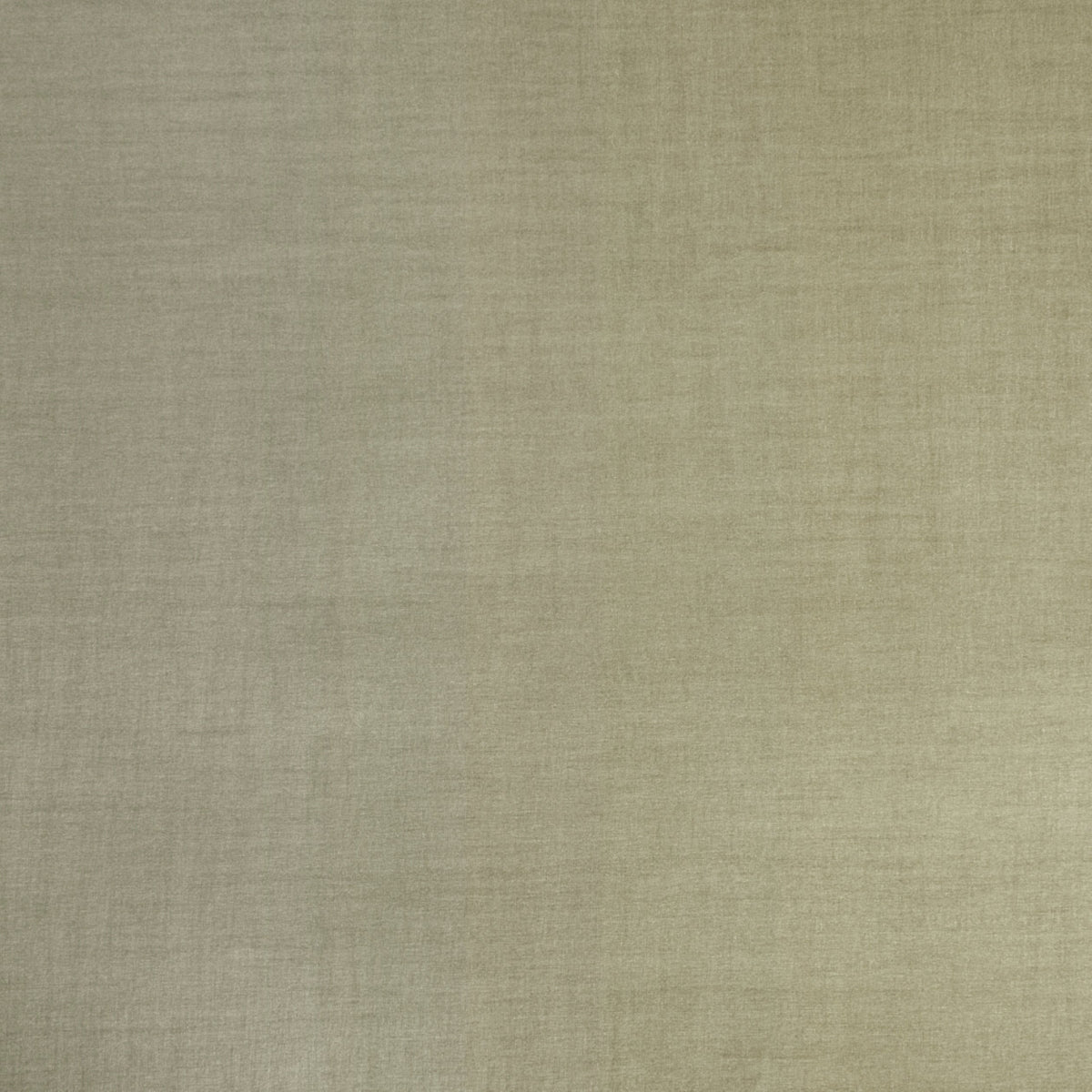 Seta Beige Spring 2023 Wallpaper by Coraggio — flat
