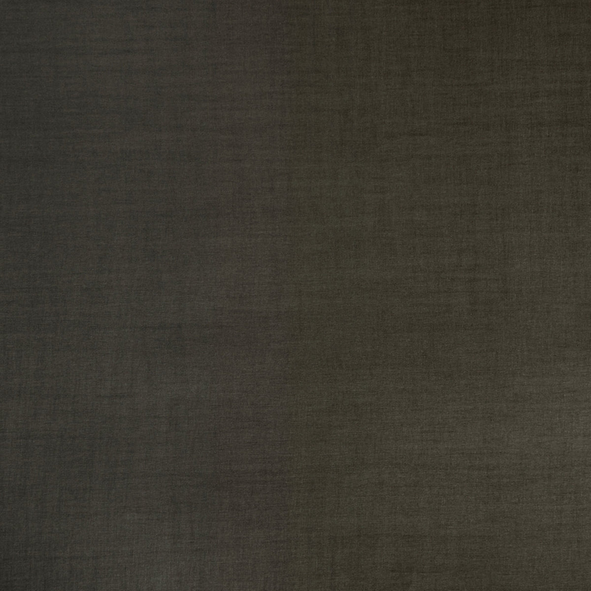 Seta Warm Brown Spring 2023 Wallpaper by Coraggio — flat