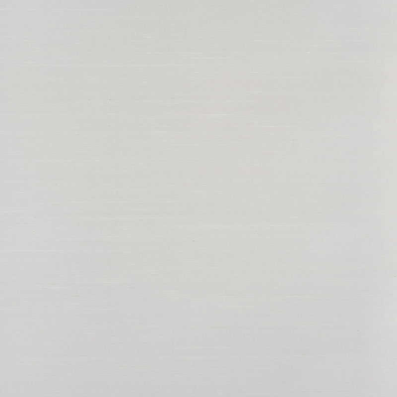Sopraffino Grigio Spring 2024 Wallpaper by Coraggio — flat