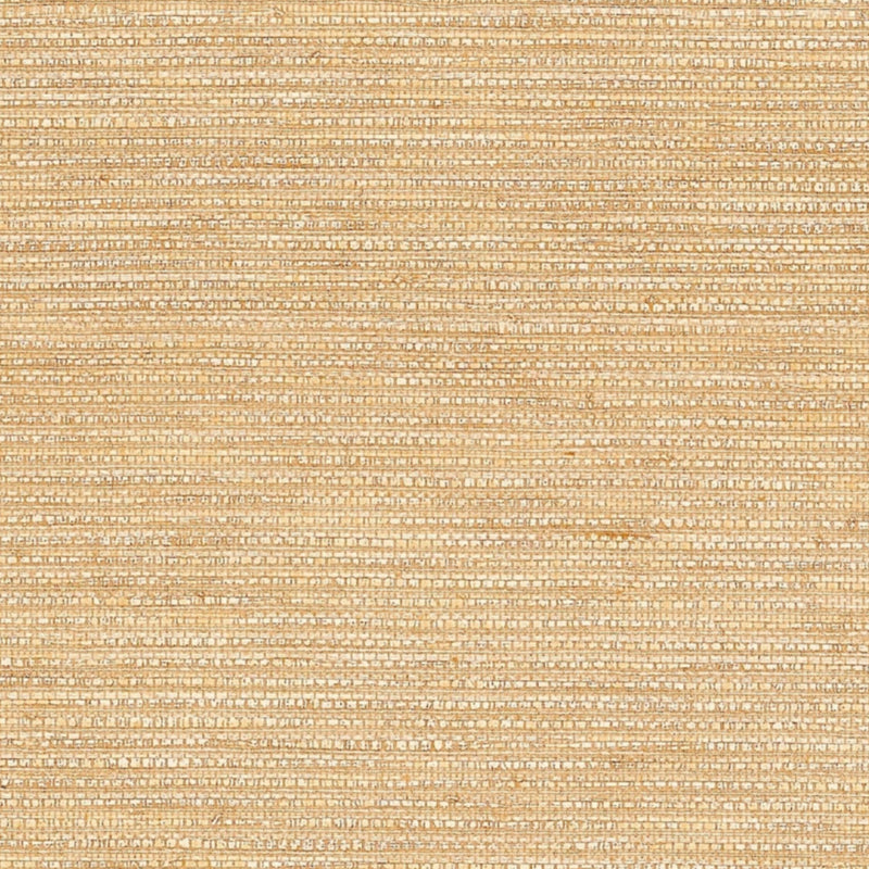 Novo Natural Spring 2025 Wallpaper by Coraggio — flat