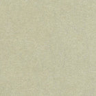 CW5410-09 Quartz Argentario Wallpaper By Osborne & Little