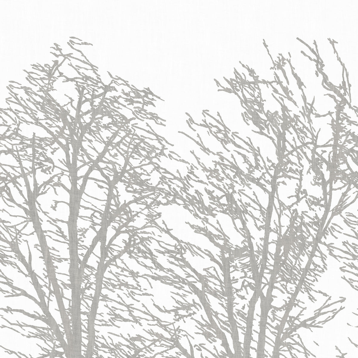 Inverno White/Silver Spring 2026 Mural by Coraggio — flat