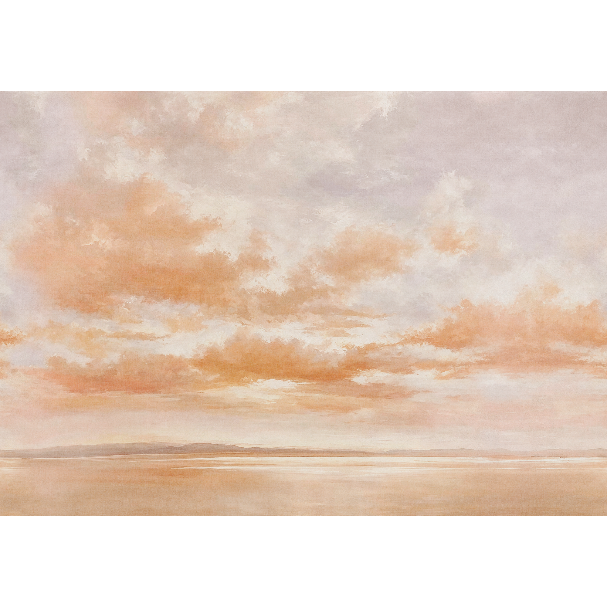 Cumulus Clouds Coral Damaskus Mural by Coordonné (400x280cm)