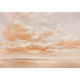 Cumulus Clouds Coral Damaskus Mural by Coordonné (400x280cm)