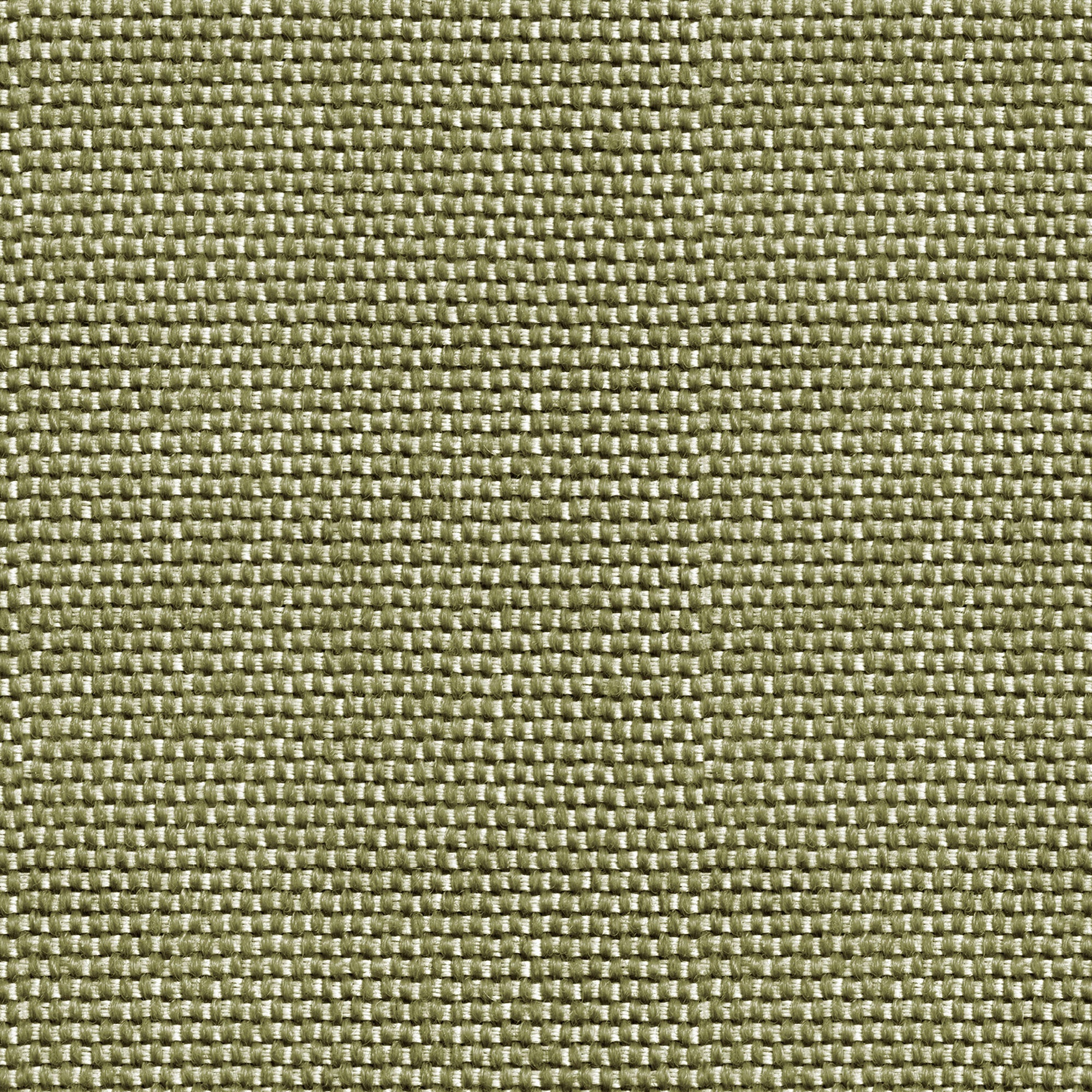 Yuca Green Raffias Eco Wallpaper by Coordonné