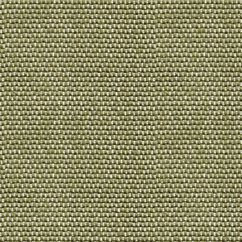 Yuca Green Raffias Eco Wallpaper by Coordonné