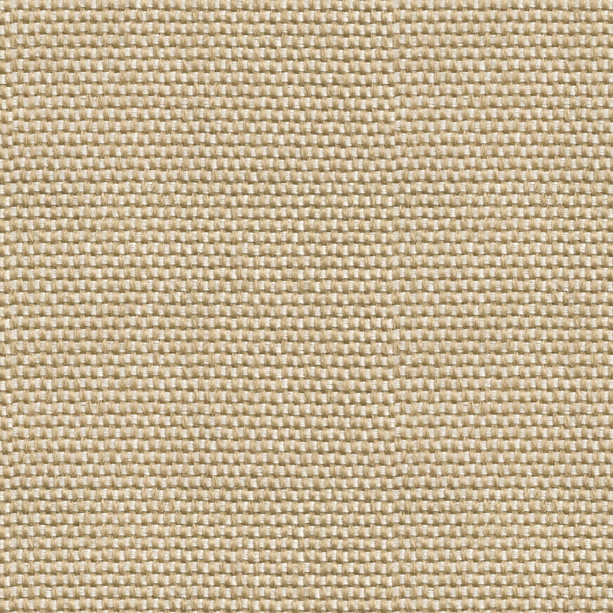 Yuca Beige/Nude Raffias Eco Wallpaper by Coordonné