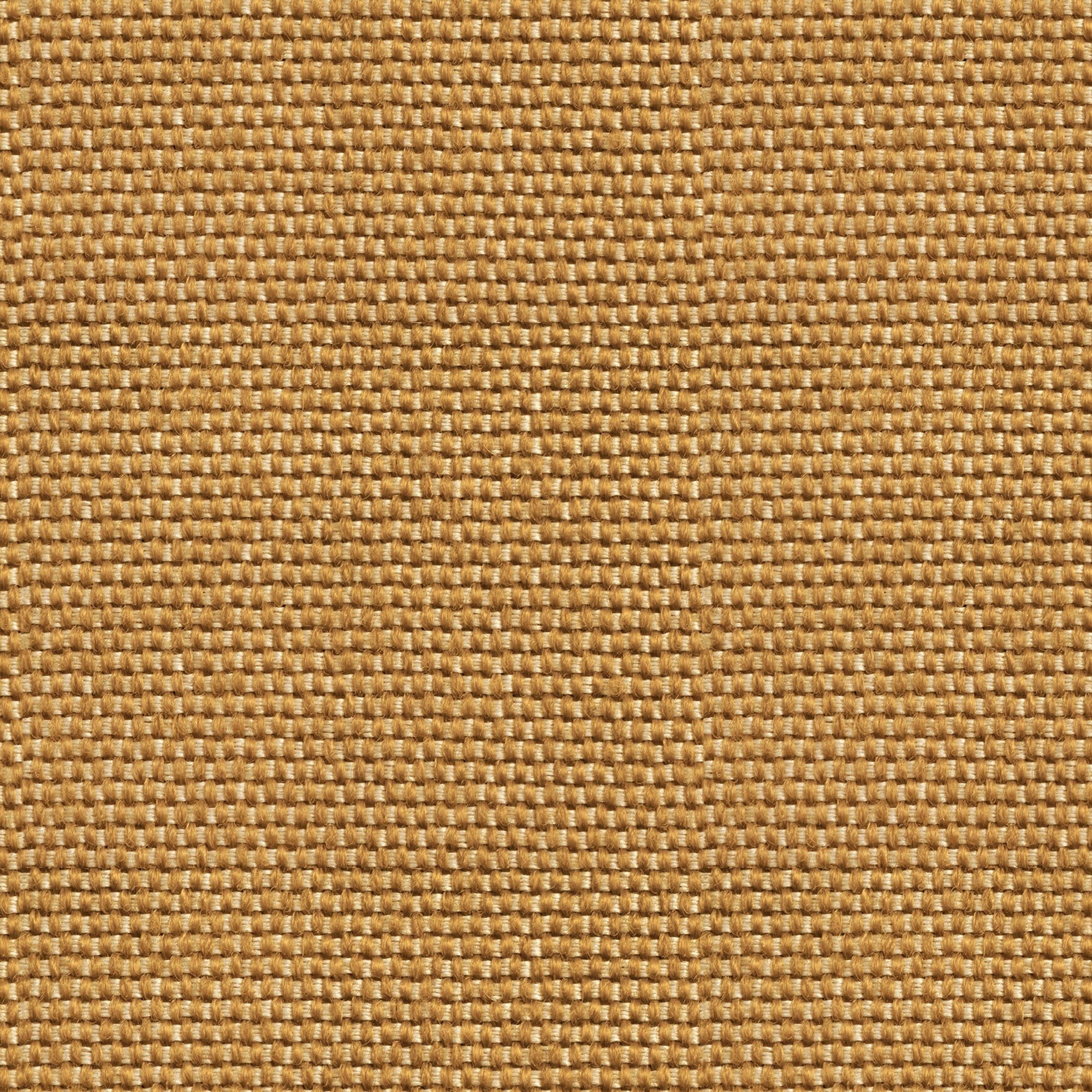Yuca Yellow/Orange Raffias Eco Wallpaper by Coordonné